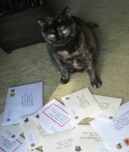 Fudge reviews my thank you notes before I pop them in the mail.